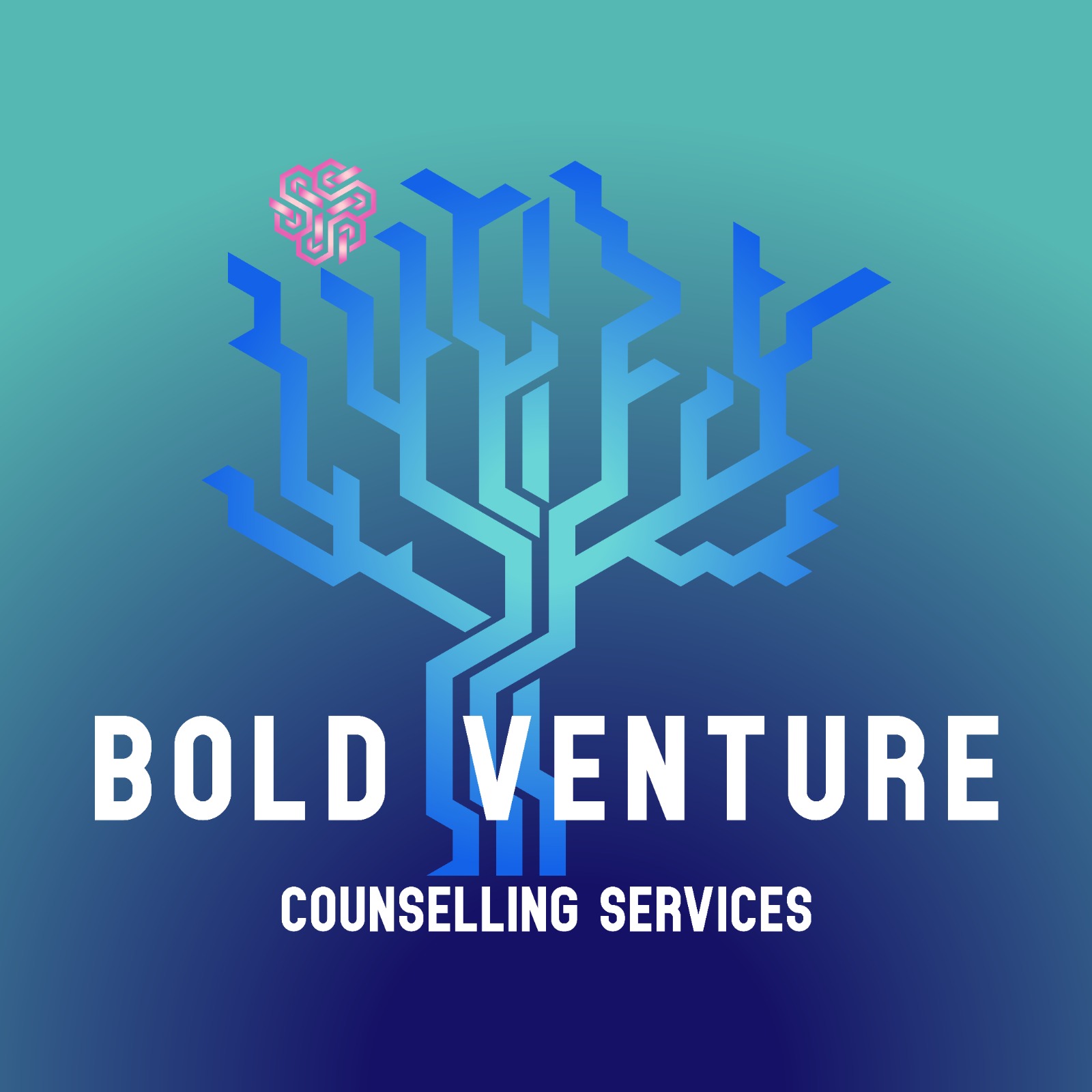 BVCS Logo